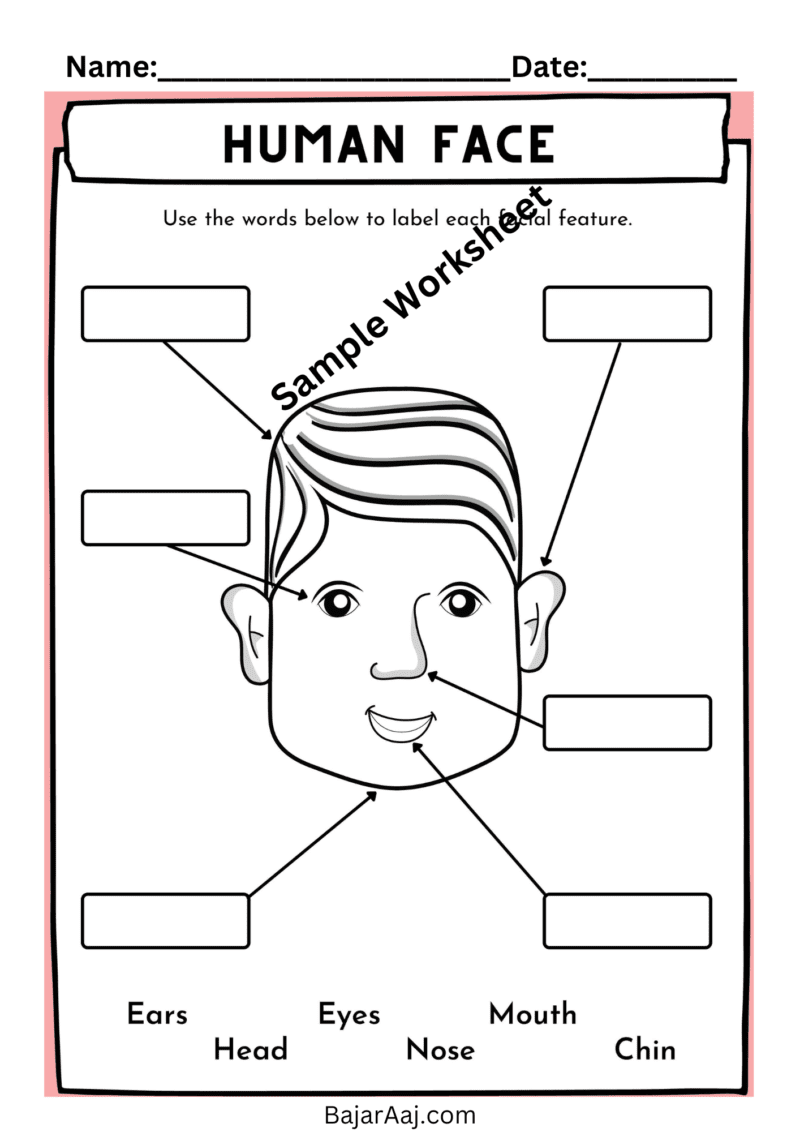 900+ Math & Science Worksheets - Image 3