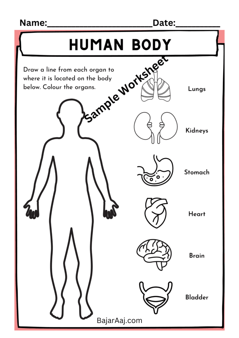 Science Worksheets for Class 1